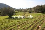 GL 0176 - Kabayianna Land - Fourni - Ermionida